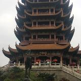 伟哥头像