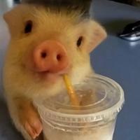 用户9509077442100头像