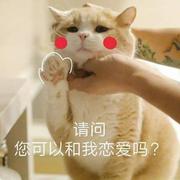 暖心人823的个人资料头像