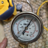 喜庆的喜鹊pPH头像