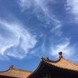 坦荡的书签ZrY头像