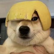 Autrefois的个人资料头像