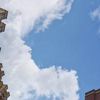 啸天狼Theway头像