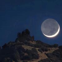 哈哈哈哈憨豆头像