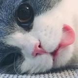 海爷耶头像