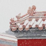 木南756的个人资料头像