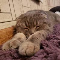 用户2711824137415头像