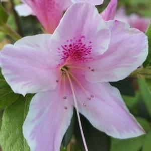 退休红姐的日常头像