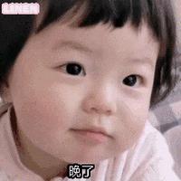 纯贱的小污龟头像