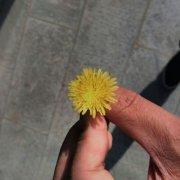 无理邪的个人资料头像