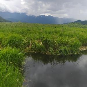 土夫斯基的烦恼头像