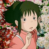 浮生若茶255头像