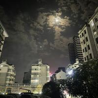 骊山语罢清宵伴头像