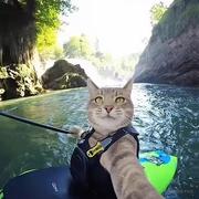 Notmaster的个人资料头像