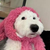 用户1907858726105头像