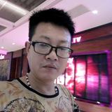 秦巴哥头像