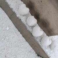 戈壁滩上的格桑花头像