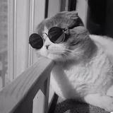 云散风尽独留240头像