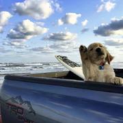 Cc740的个人资料头像