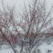 XLS的个人资料头像