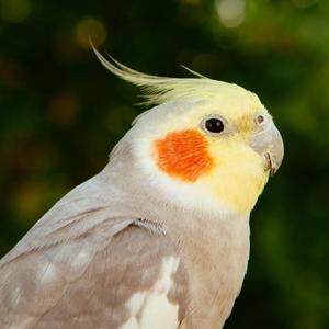 吴兴闲人头像