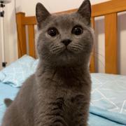 棒棒糖745的个人资料头像