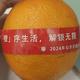 DJCheNn头像