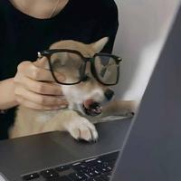 用户3110753282471头像