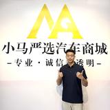 曾志伟-小马新能源头像