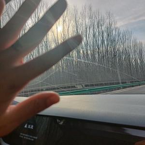 羊小帅烤全羊头像
