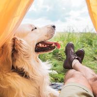 其乐融融奥古斯丁0b0头像