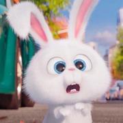 A33快云的个人资料头像