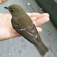 这个坏人有点善良头像