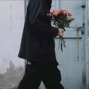 皓彩的个人资料头像