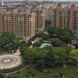 高金洪115头像