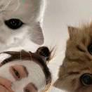 用户7856799140的个人资料头像