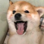 song59的个人资料头像