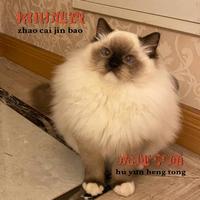 用户5803120332067头像