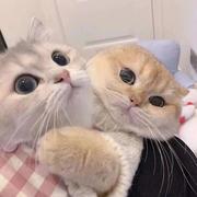 jackson47的个人资料头像