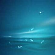 wanglidev的个人资料头像