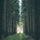 水木明瑟的个人资料头像