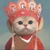 i𝓢𝓸𝓹 𝓤𝓹头像