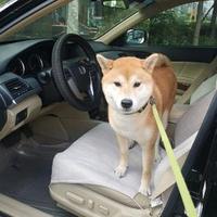 车友圈管理员大东头像