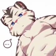 魔芋蚝的个人资料头像
