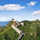 自由的山雀rs头像