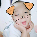 进取海风TO头像