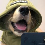 小景不会玩的个人资料头像