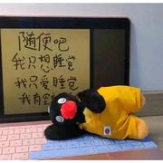 是否8的个人资料头像