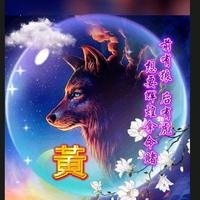 热心梦想kt头像