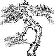 王文见的个人资料头像